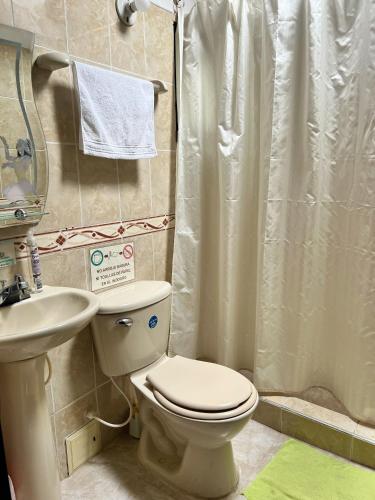 a bathroom with a toilet and a sink and a shower at Posada Los Helechos in Villa de Leyva