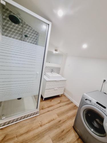 - un lave-linge et un sèche-linge dans la buanderie dans l'établissement Dépendance cosy en duplex avec terrasse & jardin, à Valleiry