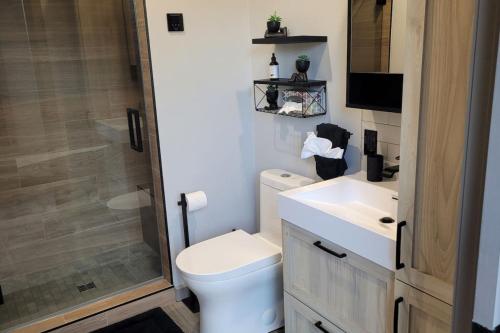 un bagno con wc, doccia e lavandino di Emeraude des Sources Lac spa sauna et hammam a Brownsburg