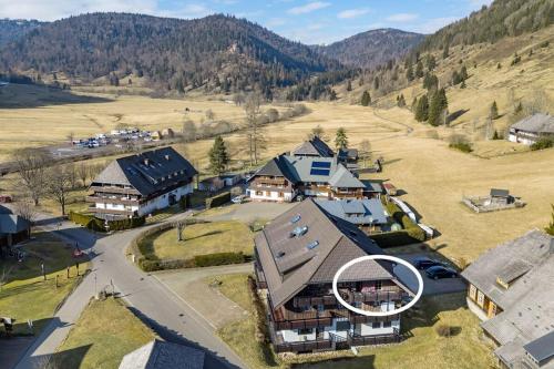 an aerial view of a village with a house at Galeriewohnung in Menzenschwand in Menzenschwand-Hinterdorf