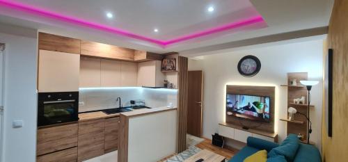 Kuchyň nebo kuchyňský kout v ubytování Apartman Dunja i Petar