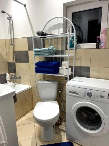a bathroom with a toilet and a washing machine at Leśny Zakątek in Rumia