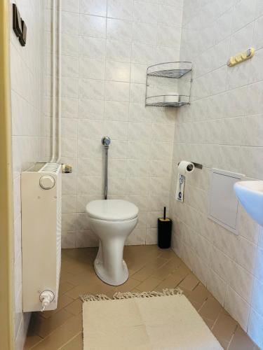 a small bathroom with a toilet and a sink at Penzion Karina in Luhačovice