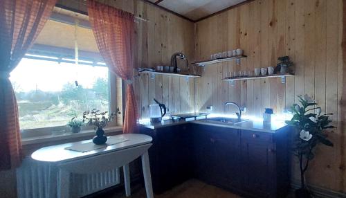 eine Küche mit einem Waschbecken, einer Theke und einem Fenster in der Unterkunft Viesu māja Bezdelīgas in Livža