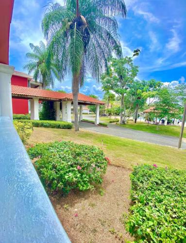 a palm tree in front of a building at Brisas de guabaverry in Juan Dolio