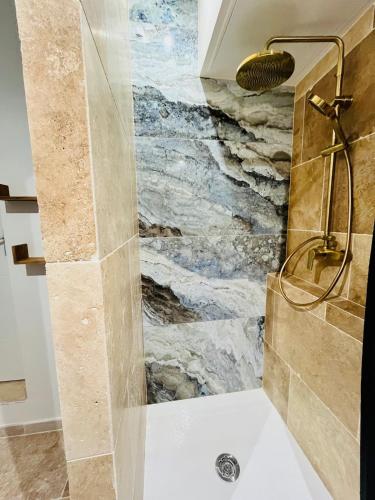 La salle de bains est pourvue d'une douche et d'un mur en pierre. dans l'établissement Repos Cosy à Bourgoin avec Parking privatif, à Bourgoin-Jallieu