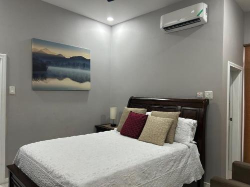 Un dormitorio con una cama con almohadas y una pintura en Syxx Old Church Road, en Kingston
