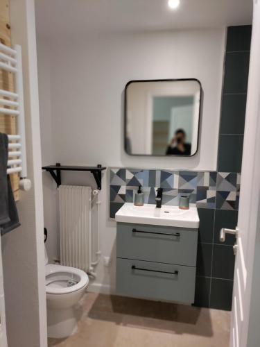 une salle de bain avec un lavabo et un miroir et des toilettes dans l'établissement Studio du BoisDHyver, à Fontainebleau
