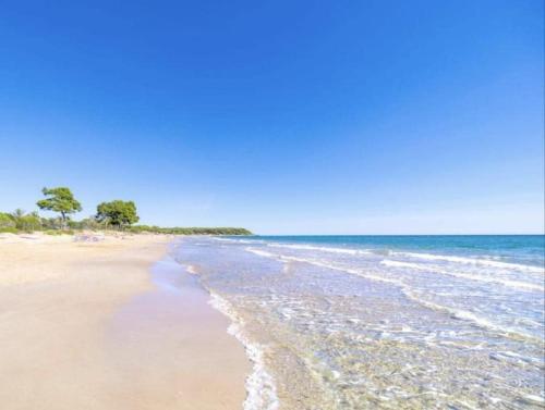 a sandy beach with water and trees in the distance at Estudio en la playa in Molnás