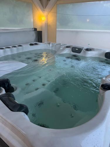 eine Whirlpool-Badewanne in einem Hotelzimmer in der Unterkunft Les oiseaux du paradis in Saint-Antoine-de-Breuilh