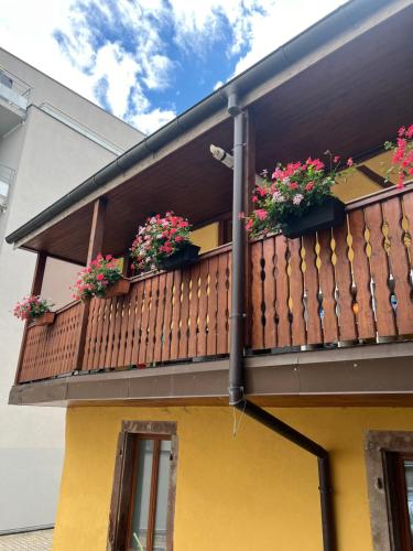 Colmar charmant logement