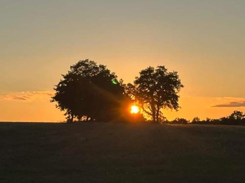 Camping du Bas Meygnaud