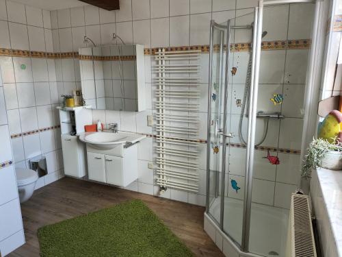 a bathroom with a shower and a sink at Große, gemütliche Wohnung in dörflicher Idylle in Breitenbach am Herzberg