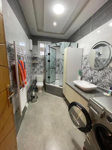 a bathroom with a toilet and a sink and a shower at Aswan Nile View Dreams in Aswan