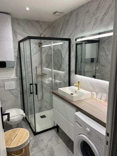 une salle de bain avec une douche, un lavabo et des toilettes dans l'établissement Charmant Studio à Ajaccio, à Ajaccio
