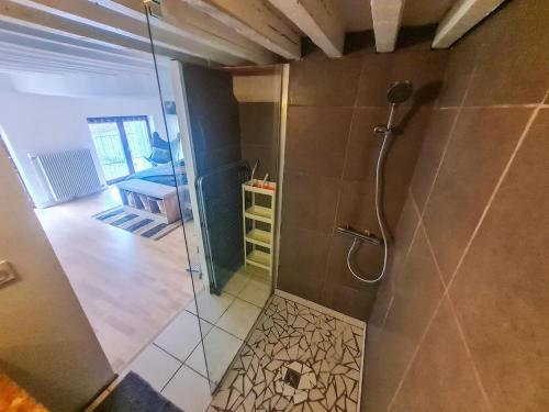une salle de bain avec une douche avec une porte vitrée dans l'établissement Grand Appartement 3 Chambres, à Saint-Étienne