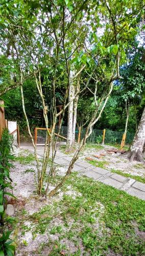 a small tree in the middle of a park at Pousada do Arthur in Ilha do Mel