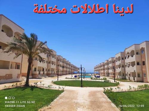 a street in front of a building with a palm tree at شاليهات قرية بلو لاجون السياحية in Ras Sedr