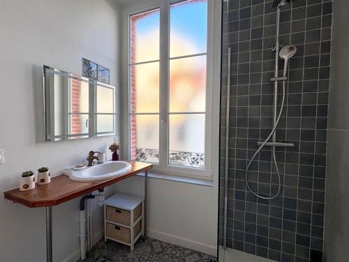 une salle de bain avec un lavabo et une douche dans l'établissement Maison Rémoise Hyper Centre - Parking - Terrace, à Reims
