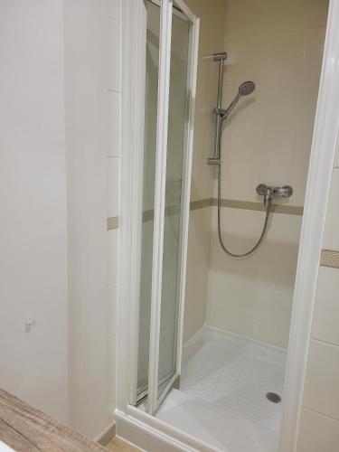 une salle de bain avec une douche avec une porte vitrée dans l'établissement Les Vallées, à Thonon-les-Bains