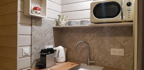 a kitchen with a microwave and a kitchen sink at La Villanelle maison d'hôtes in Pelousey