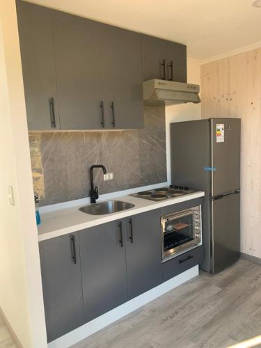 una cucina con lavello e frigorifero di Tiny cabaña en playa hermosa Pichilemu a Pichilemu