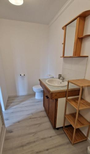 une salle de bain avec un lavabo et des toilettes dans l'établissement Grand studio montagnard, à Mieussy