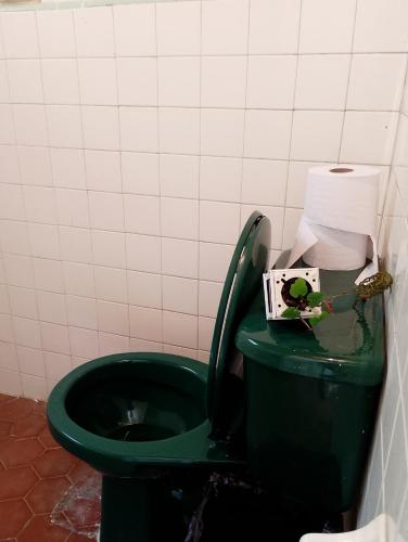 a green toilet with a green seat in a bathroom at Habitación en casa de campo via al aeropuerto in Copacabana