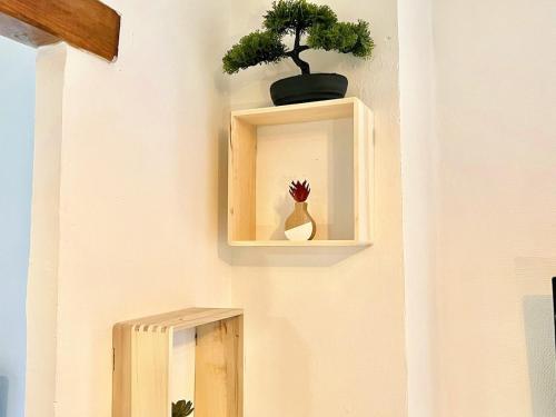 a wooden shelf with a potted plant on a wall at Creux de l'Église - 2 Appartements cosy, 2 Salles de Bains, 8 personnes in Saint-Chamas