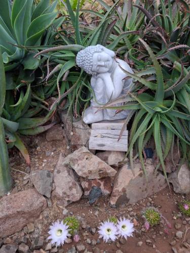 Gallery image of Cabaña colibrí - Casa Campo Elqui in La Serena