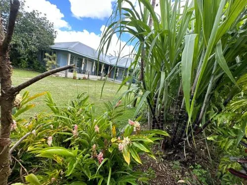 Anas place Siusega