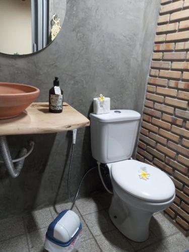 a bathroom with a toilet and a sink and a mirror at Chales Da Mata in Fortim