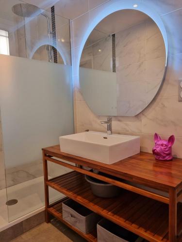 une salle de bain avec un lavabo et un miroir dans l'établissement T3 - Cocon des Aubes - Tranquille et Charmant, à Montpellier