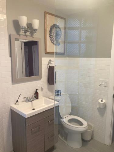 a bathroom with a toilet and a sink and a mirror at Dorothy's in Chicago