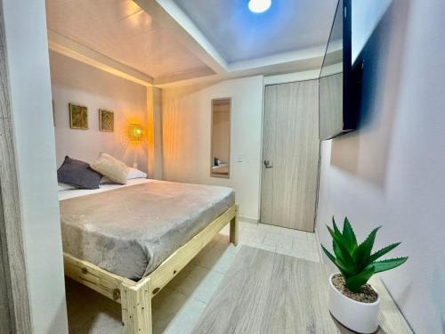 a bedroom with a bed and a potted plant at Colorful Garden House in Providencia