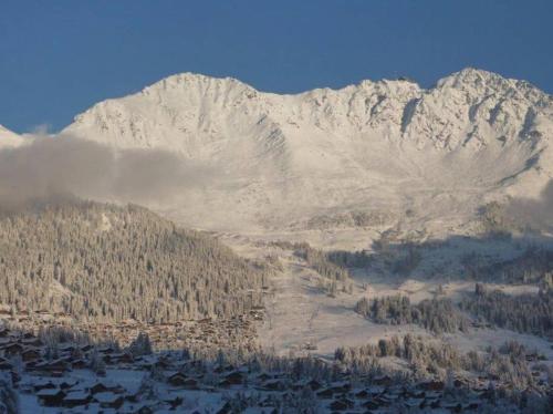a snow covered mountain with a town in front of it at Chalet Lion d'Or in Bagnes