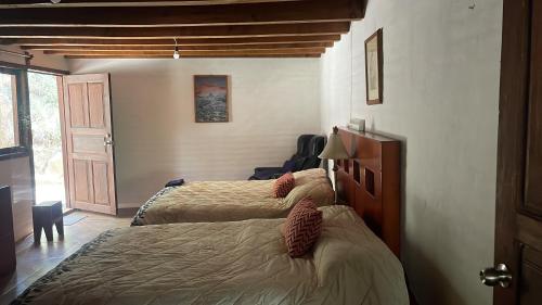 Un dormitorio con dos camas y una puerta con ventana. en Cabaña Linda vista, en Mazamitla