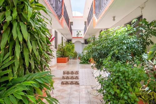 an internal courtyard of a building with plants at Arena Surf Hotel, Puerto Escondido in Puerto Escondido