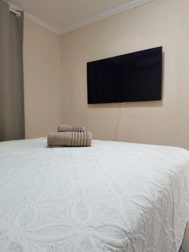 um quarto com uma cama e uma TV de tela plana em Espaço aconchegante em Camaçari