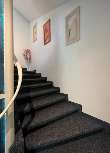 a staircase with black carpeting and paintings on the wall at Seefeld Residenz in Zürich