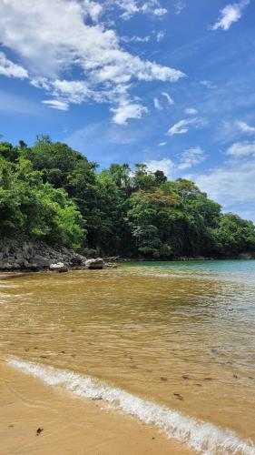 a beach with a bunch of trees and water at Casa em Paraty com 4 Suítes, Piscina e Churrasqueira Próximo Praias in Paraty