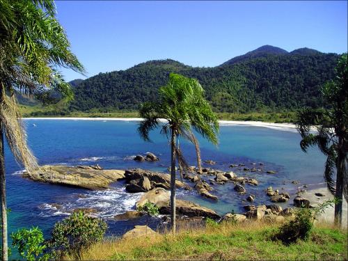 a beach with a palm tree and the ocean at Casa em Paraty com 4 Suítes, Piscina e Churrasqueira Próximo Praias in Paraty