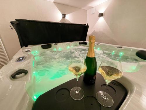 Gîte avec SPA et sauna dans le Val de Loire - FR-1-381-607