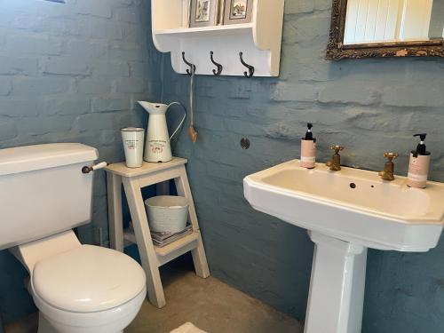 a bathroom with a white toilet and a sink at Hartland Country House Luxury Double Rooms in Oudtshoorn
