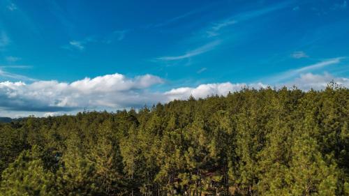 Un paisaje natural cerca del camping