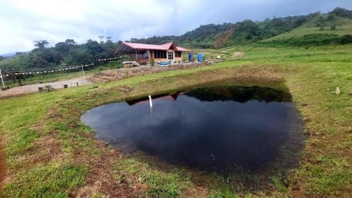 a large pond in a field with a house in the background at Nodriza House in Baeza