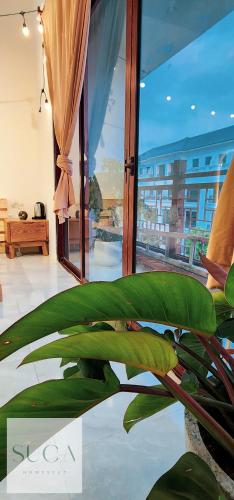 a green plant in a room with a window at Sứ Ca Homestay - tầng áp mái 35m2 cho 4-6 người tại Vinhomes Ocean Park 2,3 in HÆ°ng YÃªn