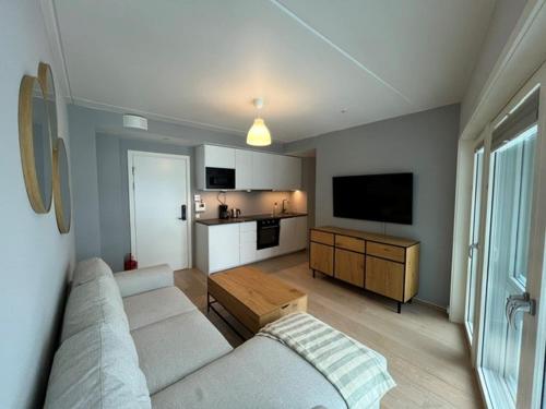 Η κουζίνα ή μικρή κουζίνα στο Bjørvika Studio Apartment