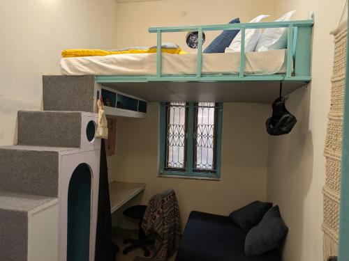 Ein Etagenbett oder Etagenbetten in einem Zimmer der Unterkunft Serendipity Hostel & Cats Cafe