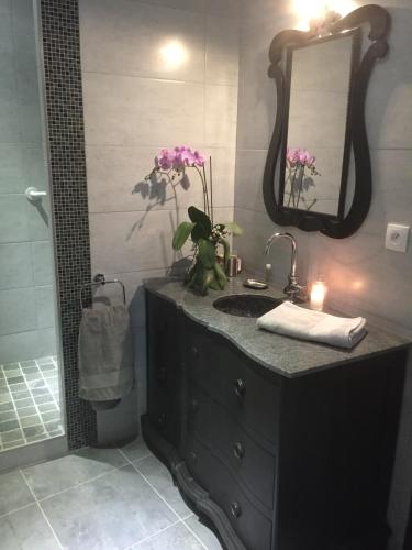 La salle de bains est pourvue d'un lavabo et d'un miroir fleuri. dans l'établissement La Peireta-Romantique, à Saint Alban Auriolles